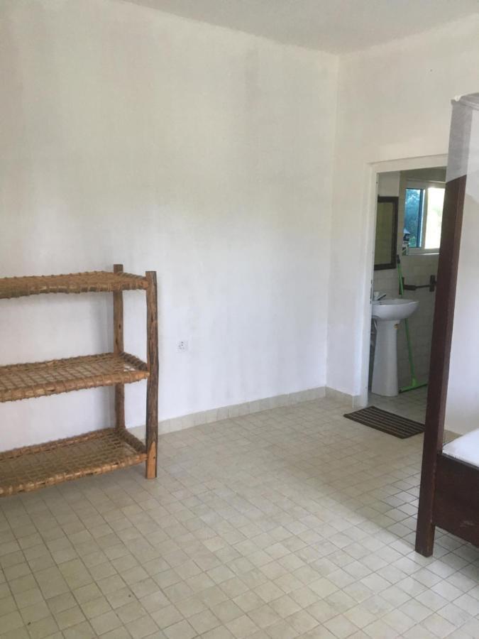 Tayana Place Διαμέρισμα Kizimkazi Εξωτερικό φωτογραφία